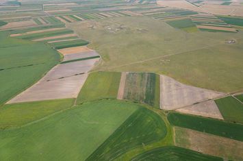 Teren arabil de 477 hectare în Arad anunturi imobiliare Arad