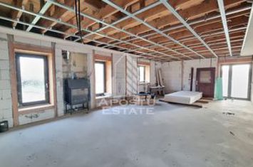 Casa individuala la rosu cu teren generos, Seceani anunturi imobiliare Timis