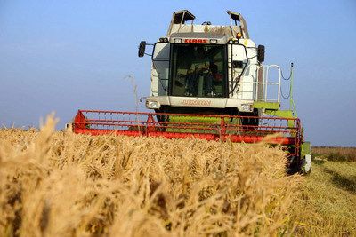 Un grup de investitori libanezi controlează în România teren agricol de dimensiunile Bucureştiului