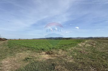 Teren Investitii 8600 mp | Zona Tetarom III Rascruci anunturi imobiliare Cluj