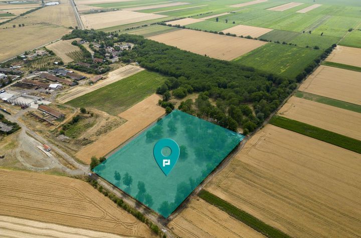 Teren aproape de băile termale Şofronea anunturi imobiliare Arad