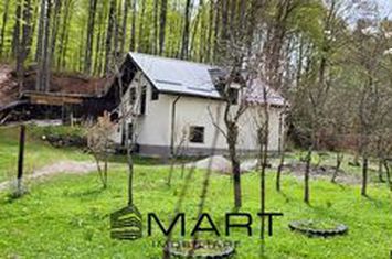 Vilă - 4 camere de vanzare AVRIG - Sibiu anunturi imobiliare Sibiu