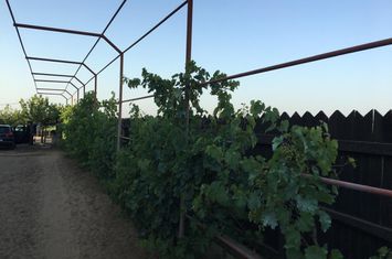 Vilă - 3 camere de vanzare CRAIOVA - Dolj anunturi imobiliare Dolj