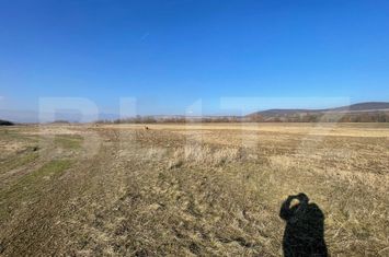 Teren de vanzare ALBA IULIA - Alba anunturi imobiliare Alba