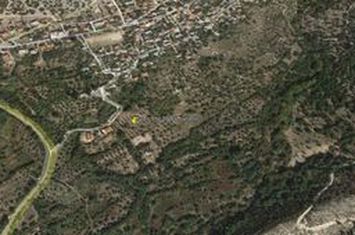 Teren construibil 14.922 mp, Theologos (Thassos) anunturi imobiliare Grecia