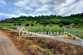 Teren intravilan 25 ari la iesire din Livezeni spre Ivanesti 48 eu /mp anunturi imobiliare Mures
