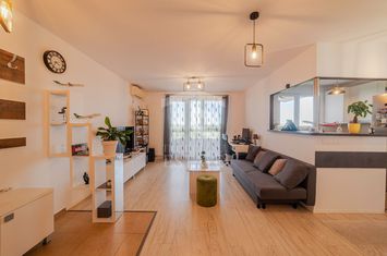 Priveliste superba spre padure  | 2 camere | et10/11 | Adora Forest anunturi imobiliare Timis