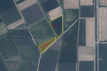 Teren agricol 17.616 mp în Chrisochori anunturi imobiliare Grecia