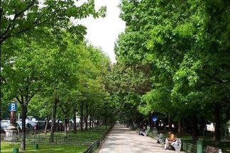 Apartament 3 camere de vânzare Bucuresti - Unirii