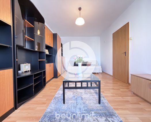 Apartament 2 camere Vasile Aaron, 55 mp