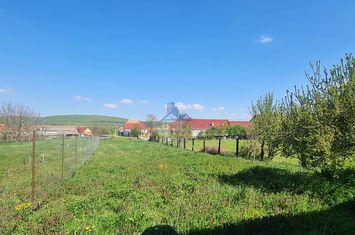Casă - 3 camere de vanzare HOSMAN - Sibiu anunturi imobiliare Sibiu