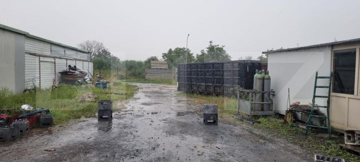 Teren de vanzare BUCOVINA - Timis anunturi imobiliare Timis