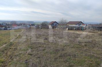 Teren de vanzare MALU MARE - Dolj anunturi imobiliare Dolj