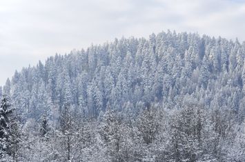 Teren de vanzare SUCEVITA - Suceava anunturi imobiliare Suceava