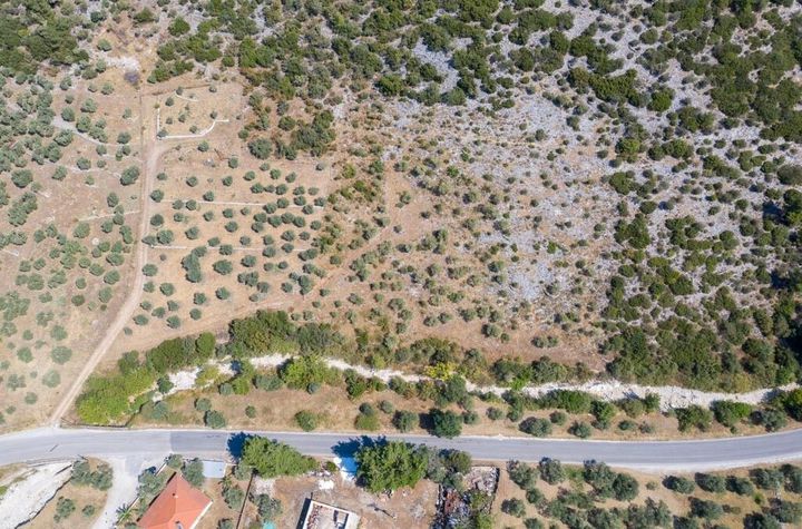 Teren construibil 8140 mp, Rachoni, Thassos anunturi imobiliare Grecia