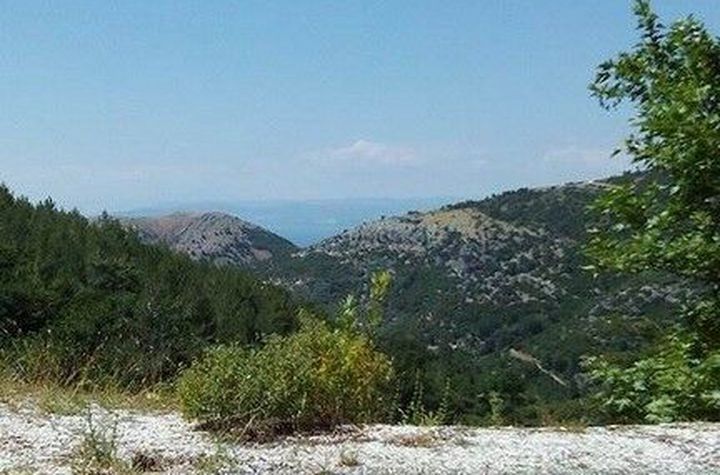 Teren construibil 2.500 mp în Mikros Prinos anunturi imobiliare Grecia