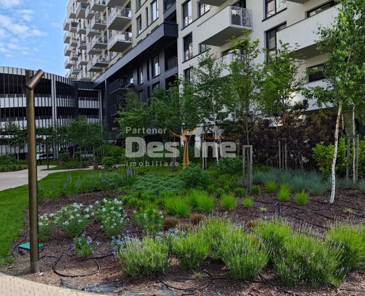 Apartament 3 camere Iasi, 53 mp