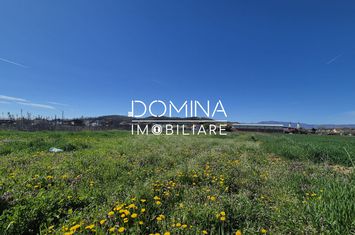 Teren de vanzare BALESTI - Gorj anunturi imobiliare Gorj