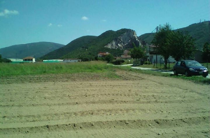 Teren construibil 6930 mp în Amisiana, Kavala anunturi imobiliare Grecia