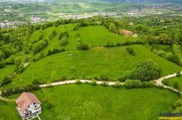 Teren Intravilan de vanzare EXTERIOR EST - Brasov anunturi imobiliare Brasov