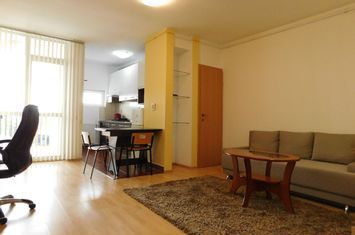 [Comision 0%] Apartament 2 camere, zona centrală, pet friendly anunturi imobiliare Cluj