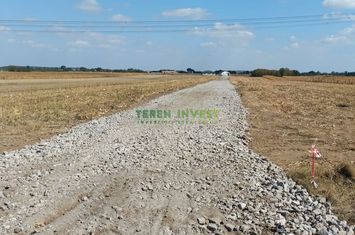 Vânzare teren industrial  – Frumușani, 10.800 mp anunturi imobiliare Calarasi