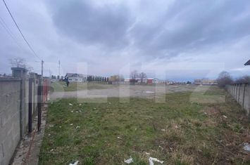 Teren de vanzare CORNU LUNCII - Suceava anunturi imobiliare Suceava