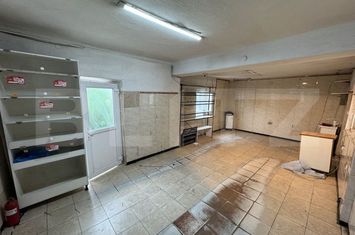 Spațiu comercial de inchiriat BRESTEI - Dolj anunturi imobiliare Dolj