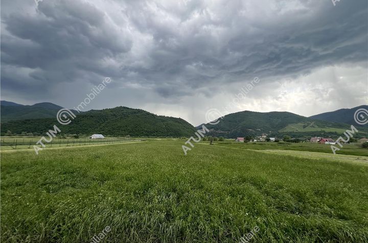 Teren Intravilan de vanzare BOITA - Sibiu anunturi imobiliare Sibiu