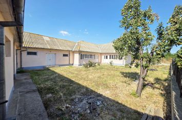 Casă - 5 camere de vanzare JURILOVCA - Tulcea anunturi imobiliare Tulcea