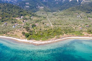 Teren construibil 7.981 mp, front la mare în Koinira anunturi imobiliare Grecia