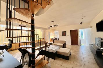 CASA INDIVIDUALA BRANESTI INTRE LAC SI PADURE! anunturi imobiliare Bucuresti