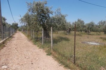 Teren construibil 7310 mp, Skala Kallirachis anunturi imobiliare Grecia