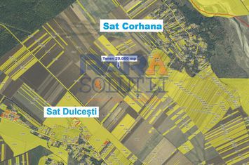 Teren 20.000 mp - perfect plan, compact, deschidere = 40 metri anunturi imobiliare Neamt