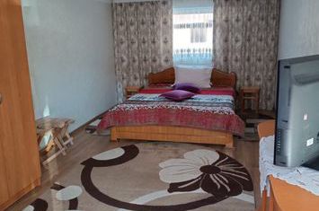 Casă - 7 camere de vanzare RADAUTI - Suceava anunturi imobiliare Suceava