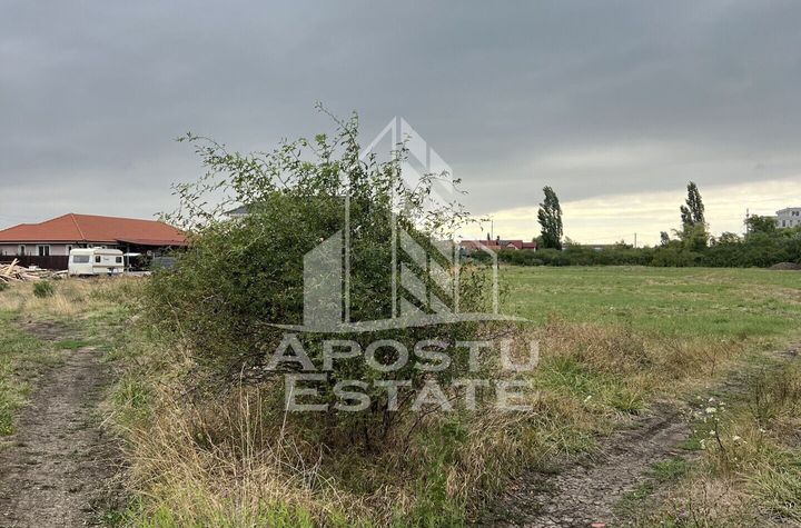 Parcela 707 mp in Sacalaz langa cartierul Primaverii anunturi imobiliare Timis