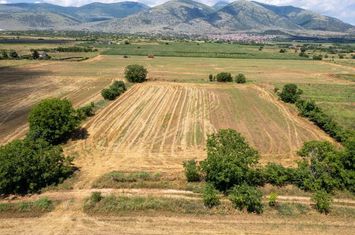 Teren construibil 8.090 mp în Xiropotamos anunturi imobiliare Grecia