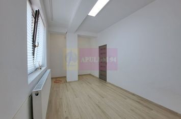 Vilă P+3, 12 camere, 300 mp – birouri/clinică/locuință, Timpuri Noi anunturi imobiliare Bucuresti