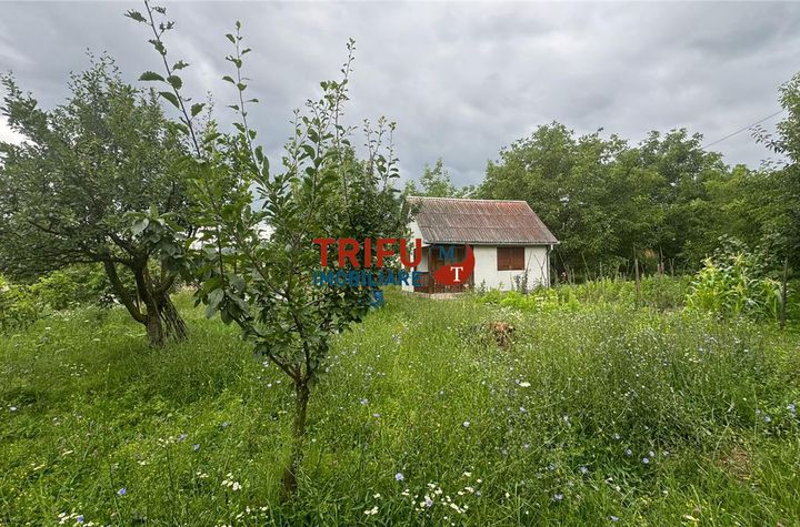 Teren Intravilan de vanzare CENTRAL - Alba anunturi imobiliare Alba