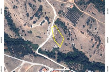 Teren 8.164 mp în Ekali (Zarkadia), Nestou anunturi imobiliare Grecia