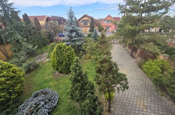Casă - 4 camere de vanzare LUCIAN BLAGA - Satu Mare anunturi imobiliare Satu Mare