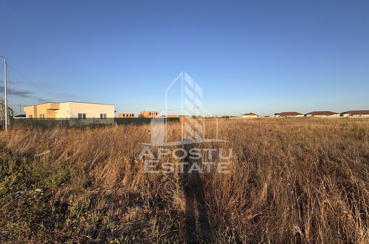 Teren Intravilan | 706mp | Front 16ml | Zona Mosnita Noua anunturi imobiliare Timis