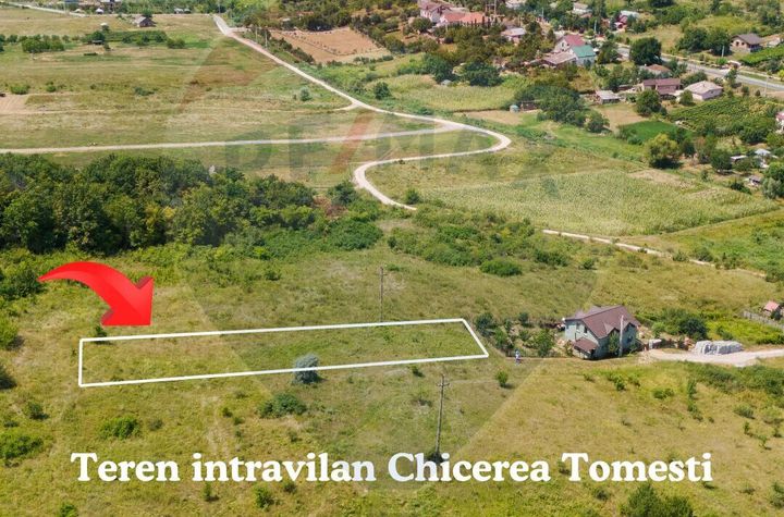 Teren intravilan 1,598mp Chicerea / Strada CUIBULUI de vanzare anunturi imobiliare Iasi