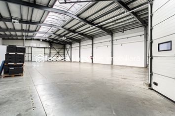 Hală industrială 727 mp Arad anunturi imobiliare Arad