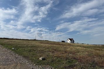 Teren intravilan 700 mp de vanzare in Paleu anunturi imobiliare Bihor