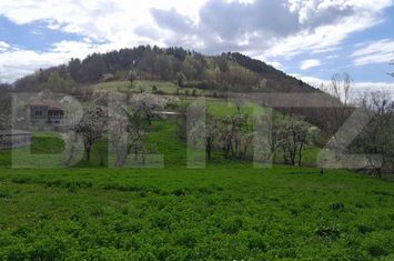 Casă - 2 camere de vanzare VINTU DE JOS - Alba anunturi imobiliare Alba
