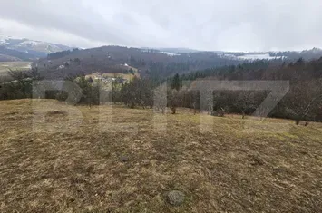 Teren de vanzare DAROAIA - Alba anunturi imobiliare Alba