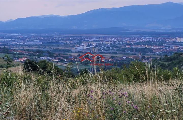 Teren Extravilan de vanzare GUSTERITA - Sibiu anunturi imobiliare Sibiu