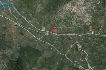 Teren construibil 8140 mp, Rachoni, Thassos anunturi imobiliare Grecia
