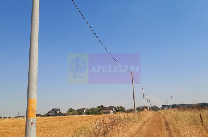 Teren pentru casă/case în Brănești pe strada Toporași anunturi imobiliare Bucuresti